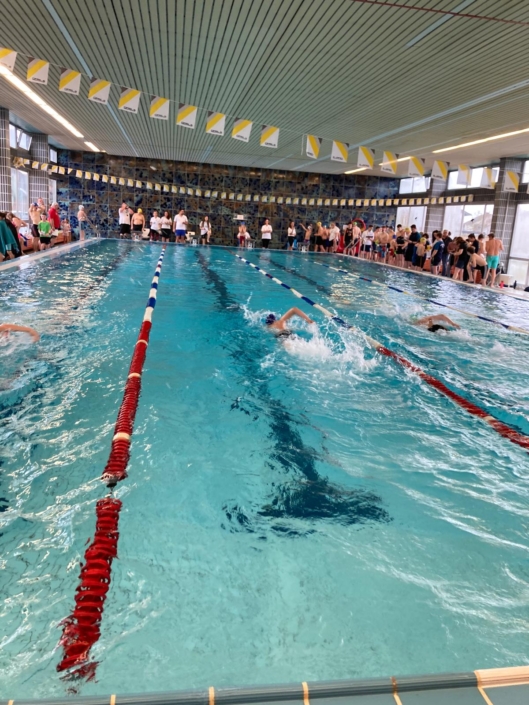 50a94d04-3c97-40bd-89dc-09b33dcd2ecd